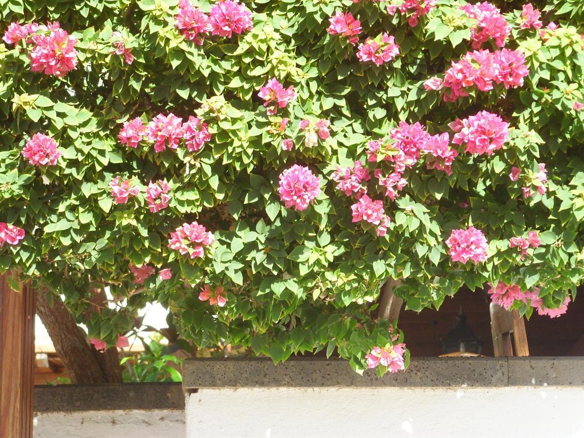 Casa La Tahonilla Apartment Tias Bagian luar foto